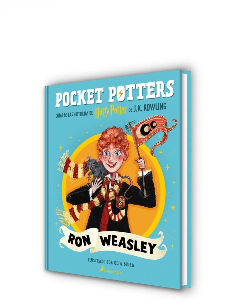 Pocket Potters Ron Weasley