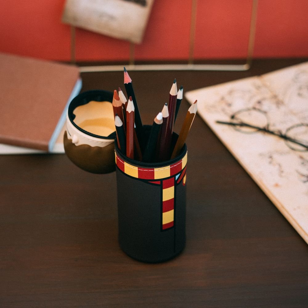 Portatodo 3D Harry Potter Harry