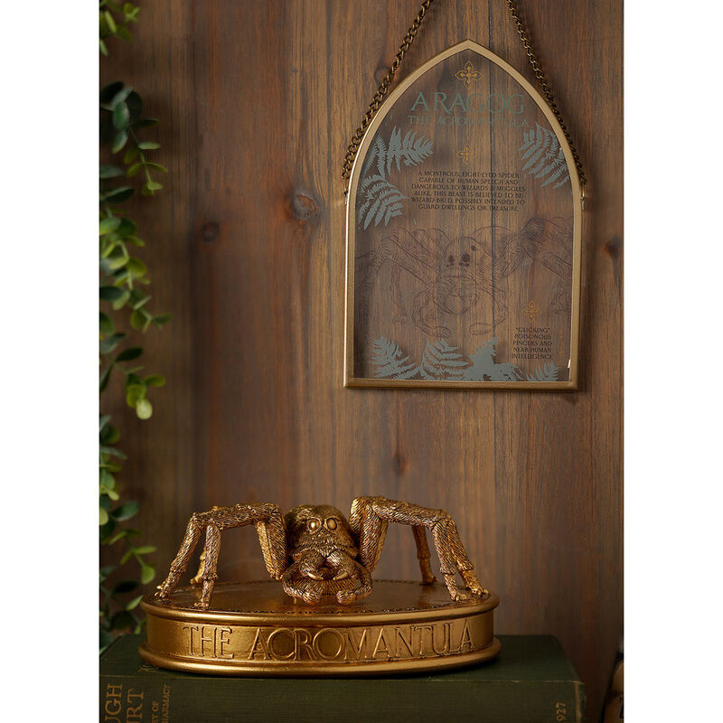 (PRE VENTA) Figura Aragog Harry Potter 7cm