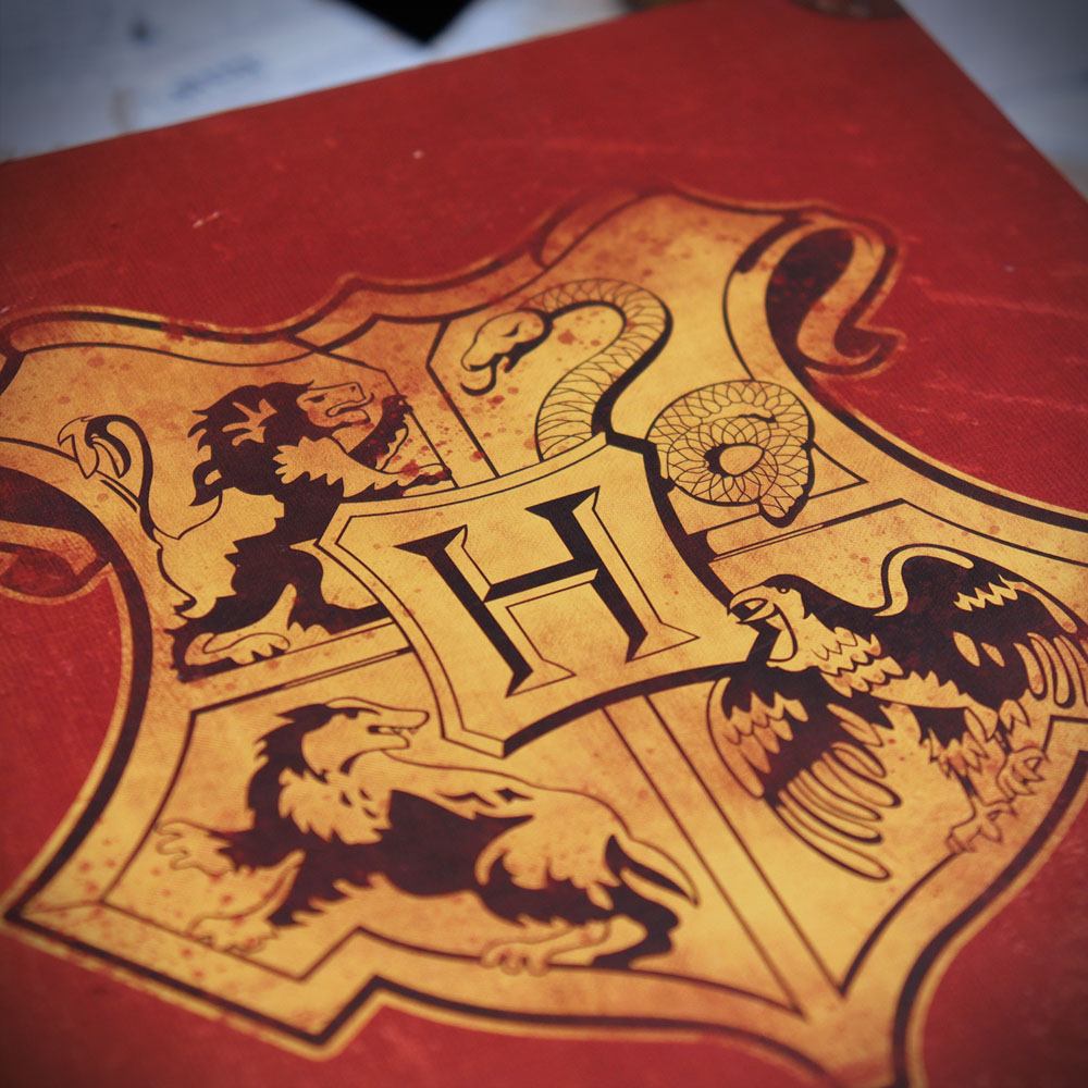 Harry Potter Pack de Regalo Coleccionista Colección El Viaje de Harry Potter a Hogwarts
