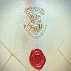 Harry Potter Pack de Regalo Coleccionista Colección El Viaje de Harry Potter a Hogwarts