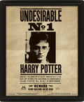 Harry Potter - Póster 3D Potter  Sirius
