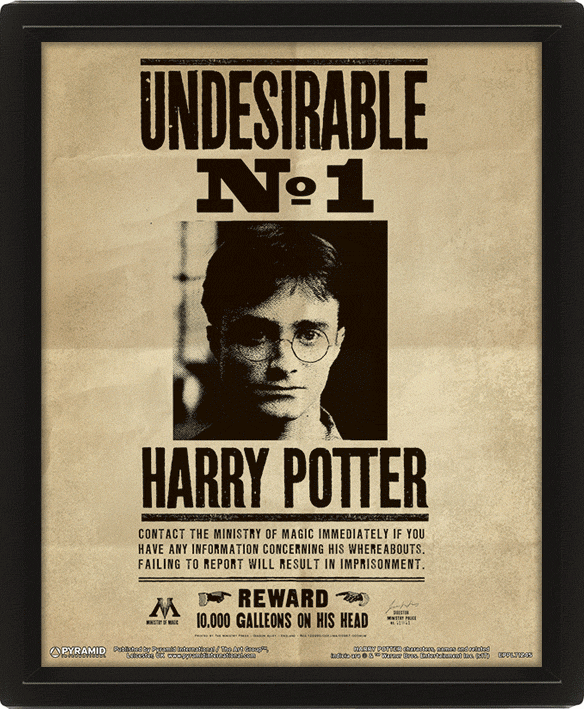Harry Potter - Póster 3D Potter  Sirius