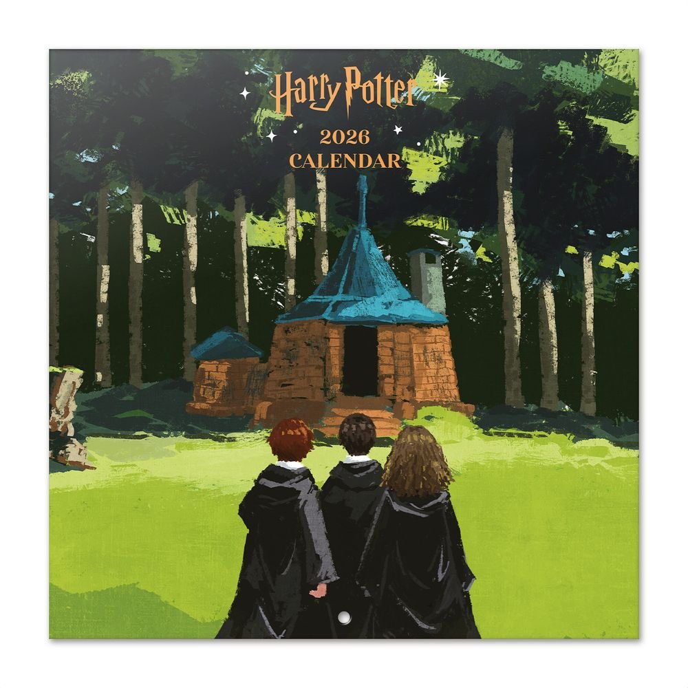 Calendario 2026 30X30 Harry Potter