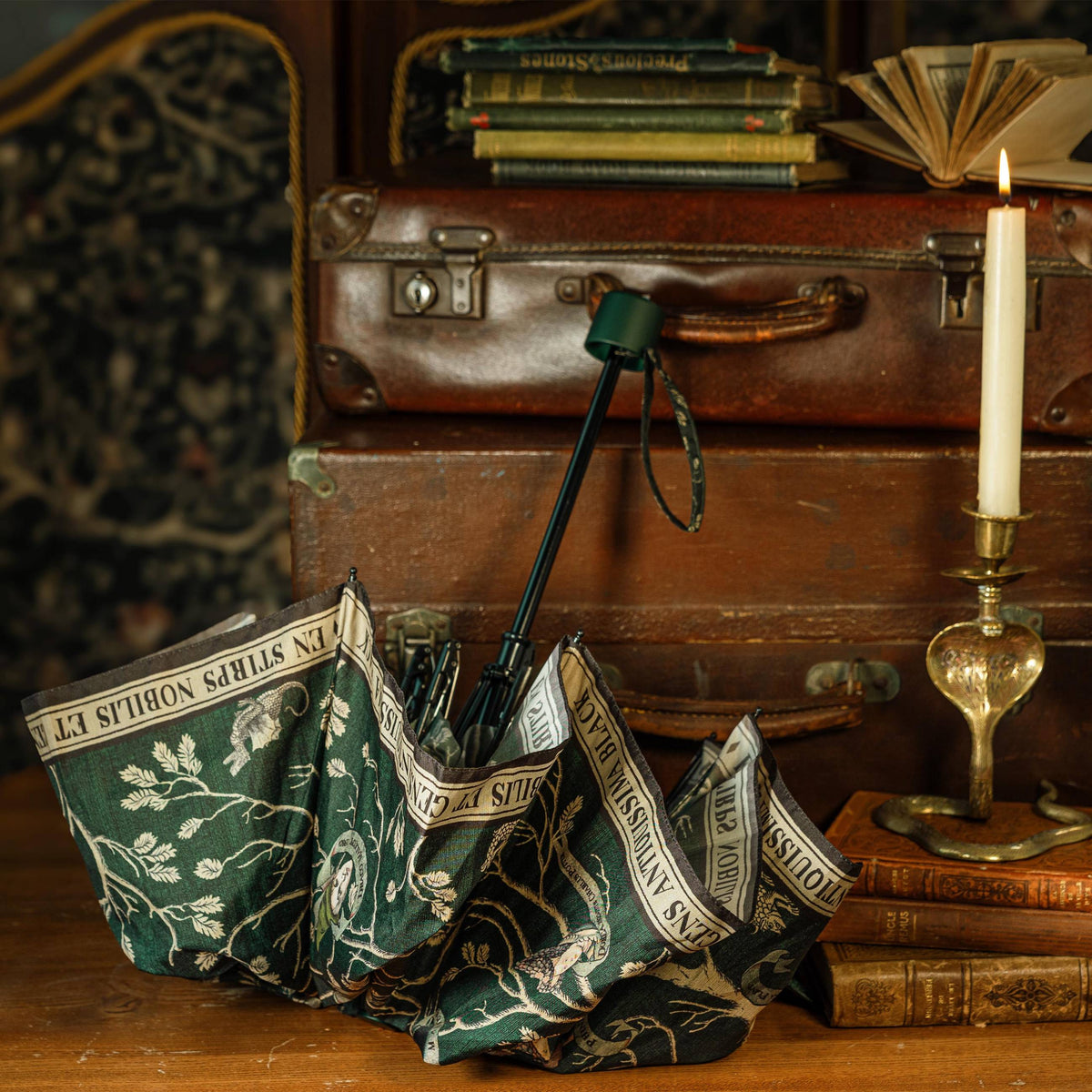 Paraguas de tapiz MinaLima negro - Harry Potter