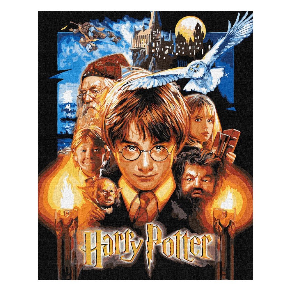 Pintar Por Números Harry Potter Póster