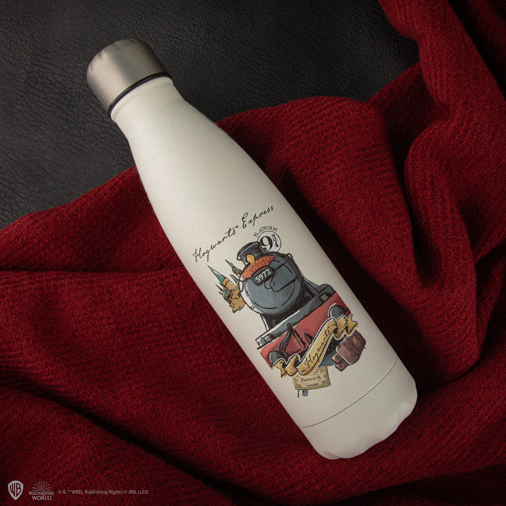 Harry Potter Botella Termo Journey to Hogwarts