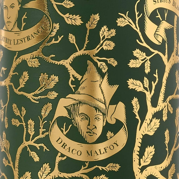 Botella Termo Familia Black - MInalima - Harry Potter