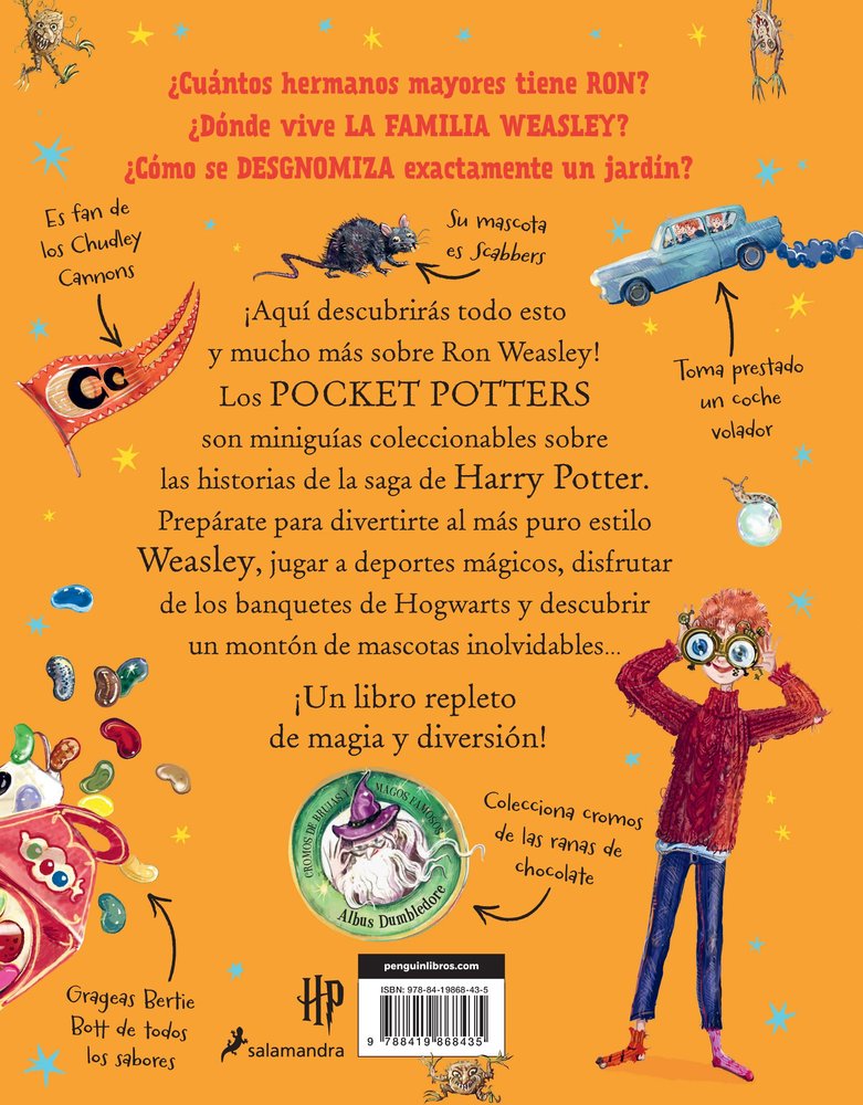 Pocket Potters Ron Weasley