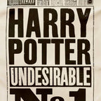 Paño de cocina - El Diario del Profeta - Harry Potter Indeseable N° 1. Minalima-Harry Potter