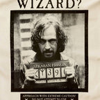 ¿Has visto este paño de cocina de mago? Minalima-Harry Potter