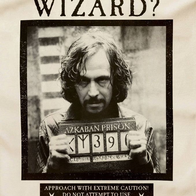 ¿Has visto este paño de cocina de mago? Minalima-Harry Potter