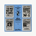Juego de 4 imanes de la Gaceta Mágica de Harry Potter – minalima