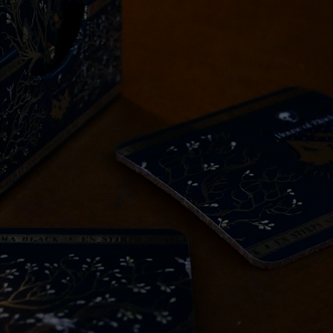 Juego de 4 posavasos - Familia Black - Harry Potter