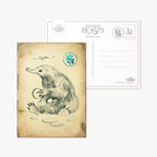 Postales misteriosas - Serie 01 El diario de campo de Newt Scamander. Minalima-Harry Potter