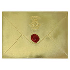Harry Potter Pack de Regalo Coleccionista Colección El Viaje de Harry Potter a Hogwarts
