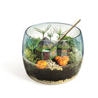 Juego Clementoni Harry Potter Terrarium