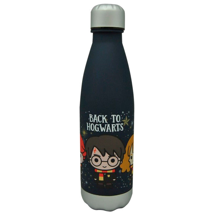 Botella Back to Hogwarts Harry Potter 650ml