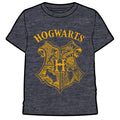 Camiseta Hogwarts Harry Potter adulto Talla L
