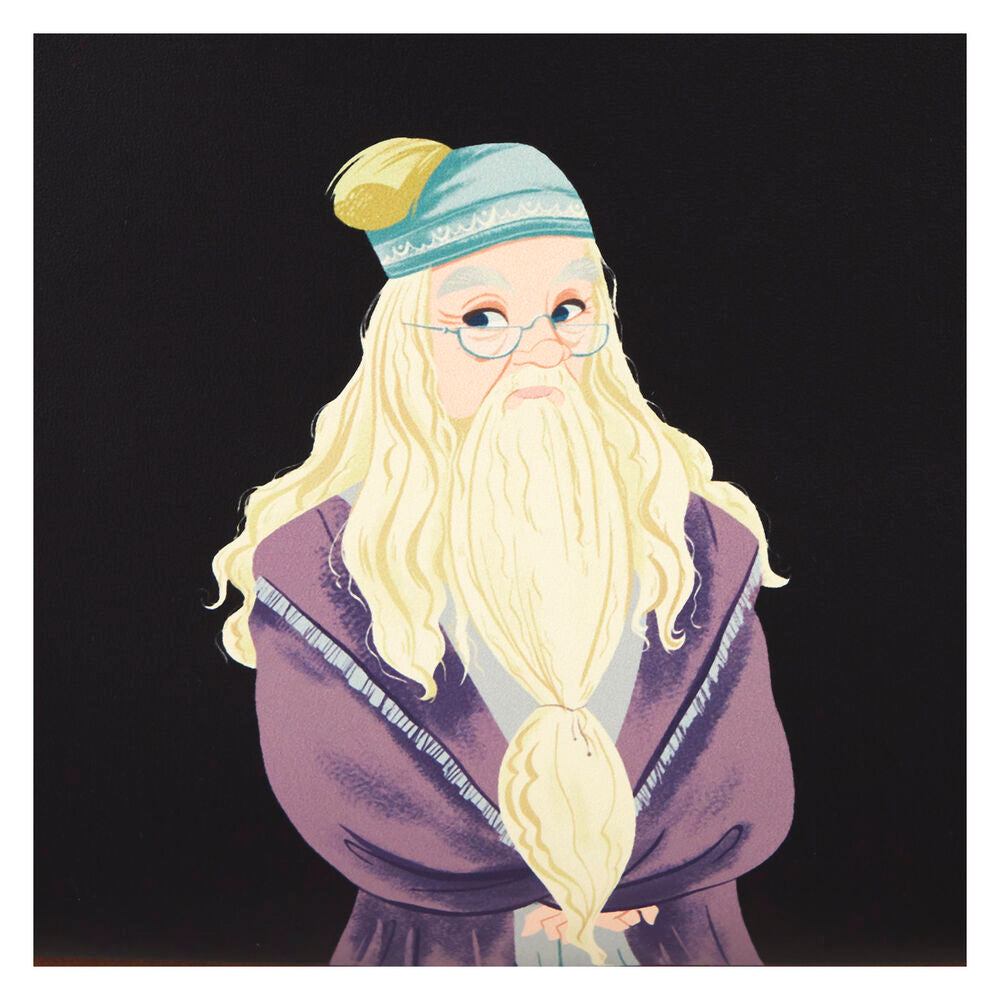 Bolso Spring Harry Potter Loungefly