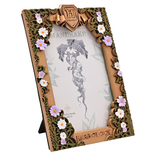 (PRE VENTA) Marco fotos Herbologia Harry Potter