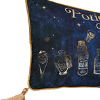Cojin velvet Potions Class Harry Potter